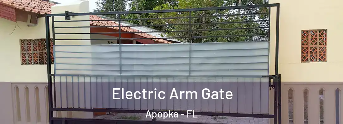 Electric Arm Gate Apopka - FL