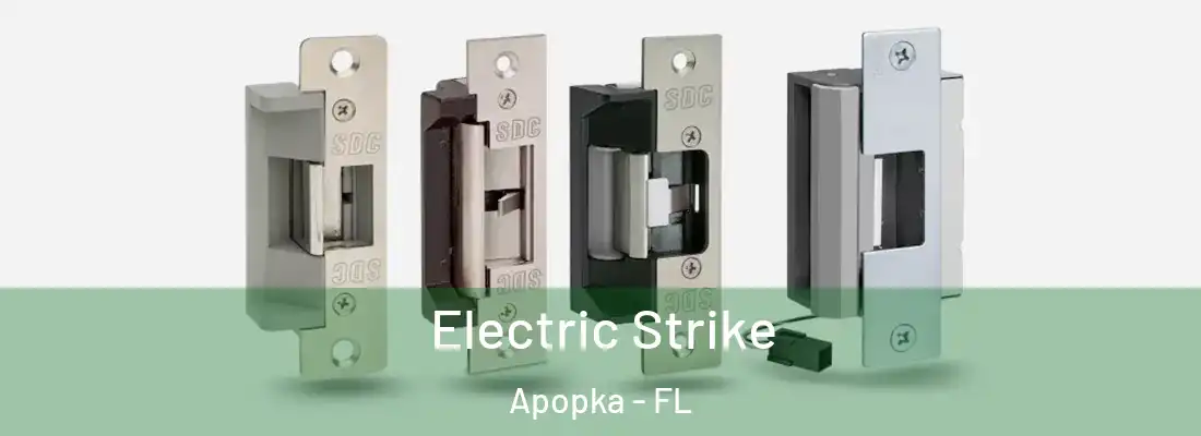 Electric Strike Apopka - FL