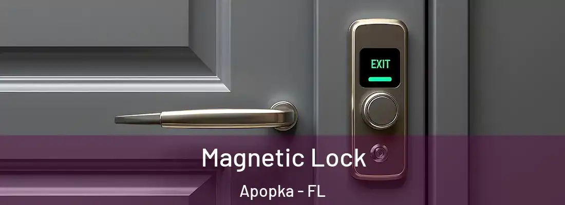 Magnetic Lock Apopka - FL