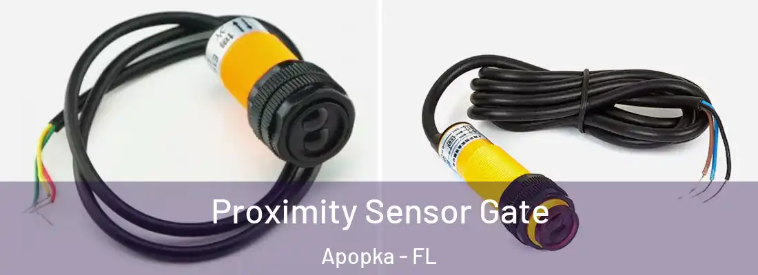 Proximity Sensor Gate Apopka - FL